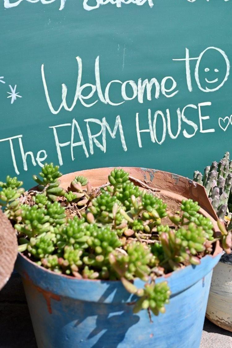 The Farmhouse Boutique Guesthouse And Beergarden Cc Оучо Екстер'єр фото